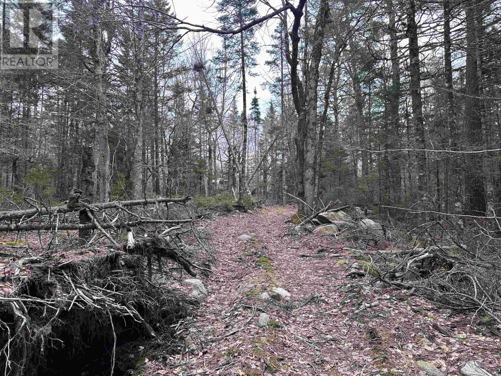 443 Turner Point Drive, Walden, Nova Scotia  B0J 2E0 - Photo 19 - 202608083