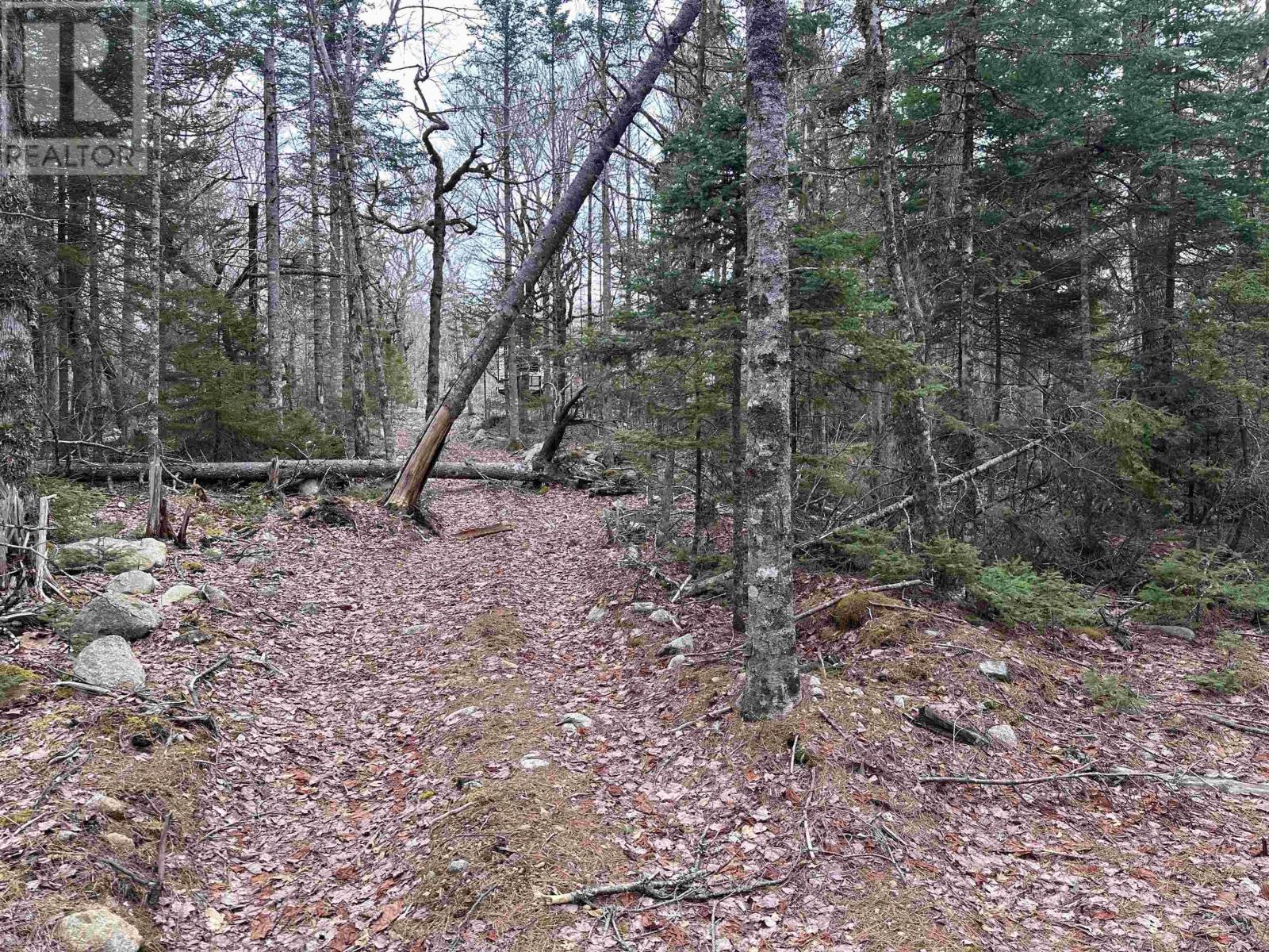 443 Turner Point Drive, Walden, Nova Scotia  B0J 2E0 - Photo 20 - 202608083