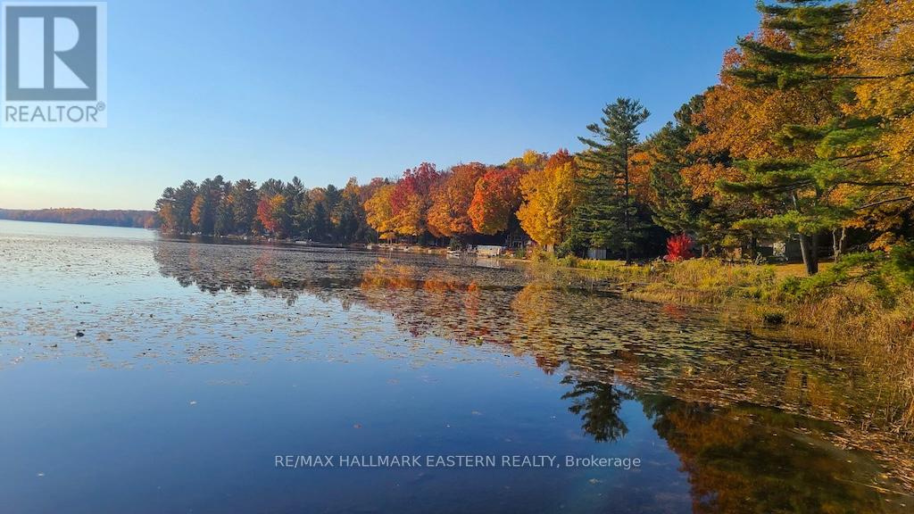 913 Drain Drive, Douro-Dummer, Ontario  K0L 2H0 - Photo 26 - X12939856