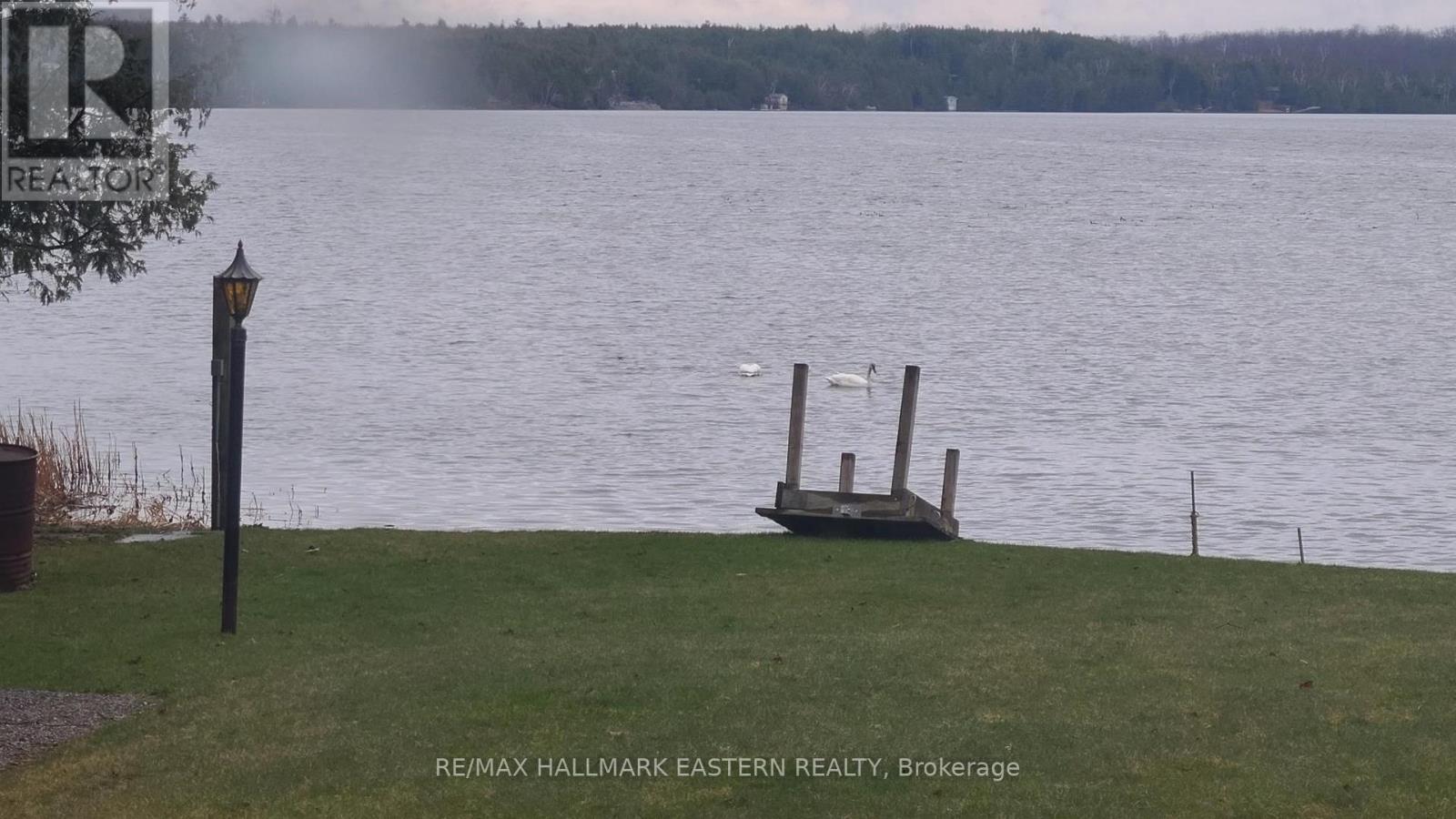 913 Drain Drive, Douro-Dummer, Ontario  K0L 2H0 - Photo 41 - X12939856