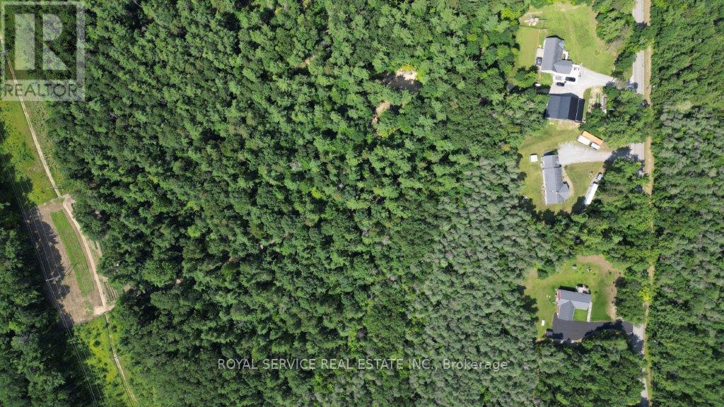 549 Turk Road, Alnwick/haldimand, Ontario  K0K 2G0 - Photo 27 - X12854766