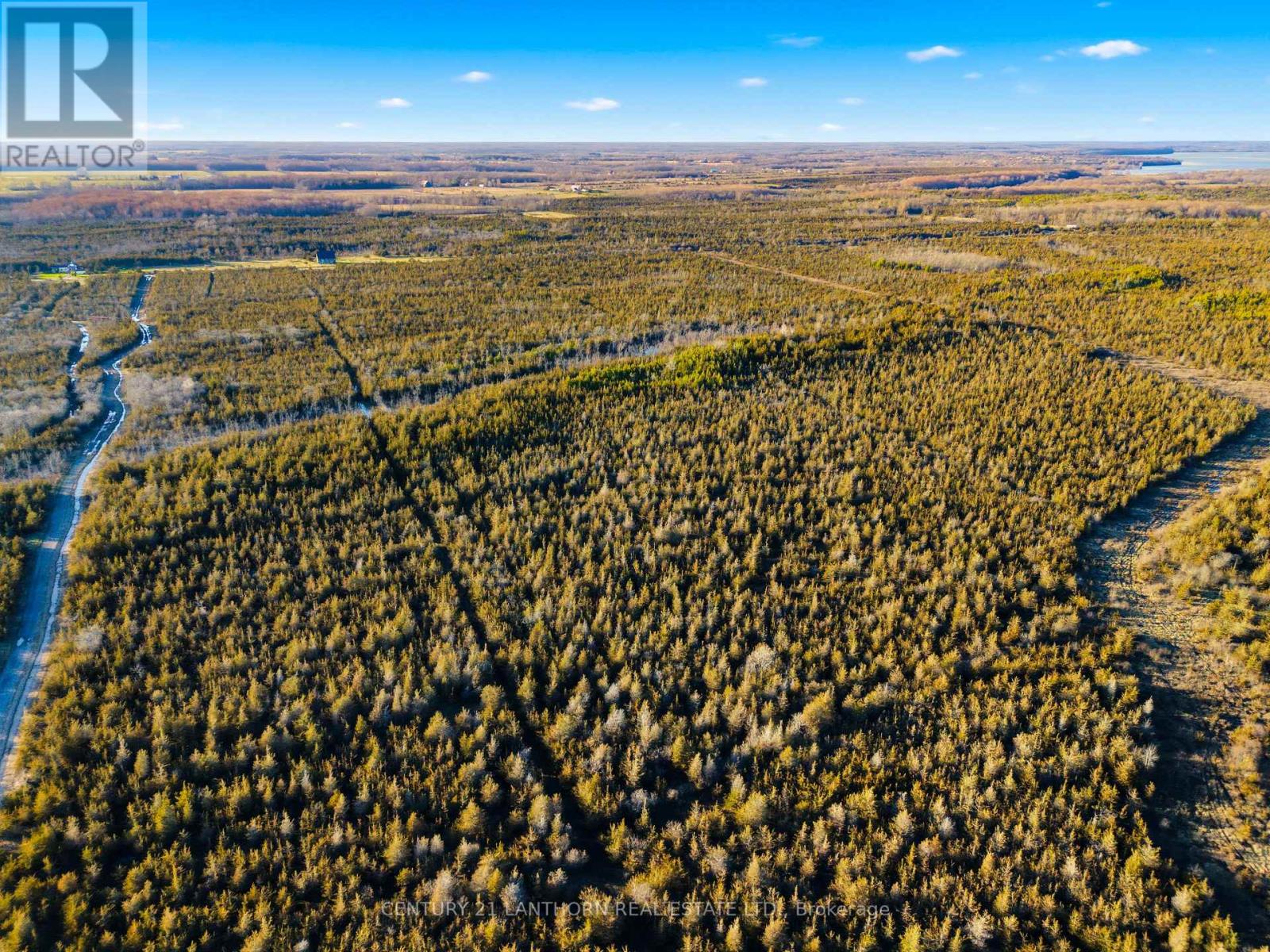 0 Hill Top Road, Prince Edward County (South Marysburg Ward), Ontario  K0K 2P0 - Photo 10 - X13024100