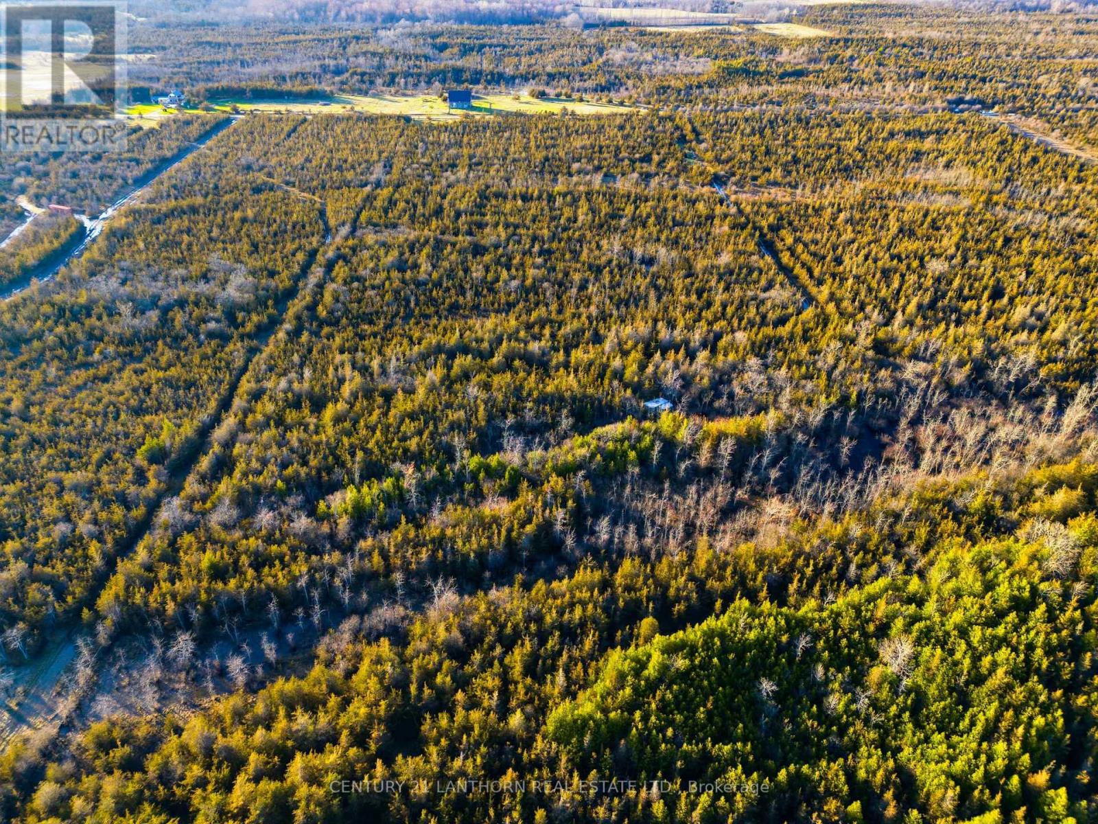 0 Hill Top Road, Prince Edward County (South Marysburg Ward), Ontario  K0K 2P0 - Photo 11 - X13024100