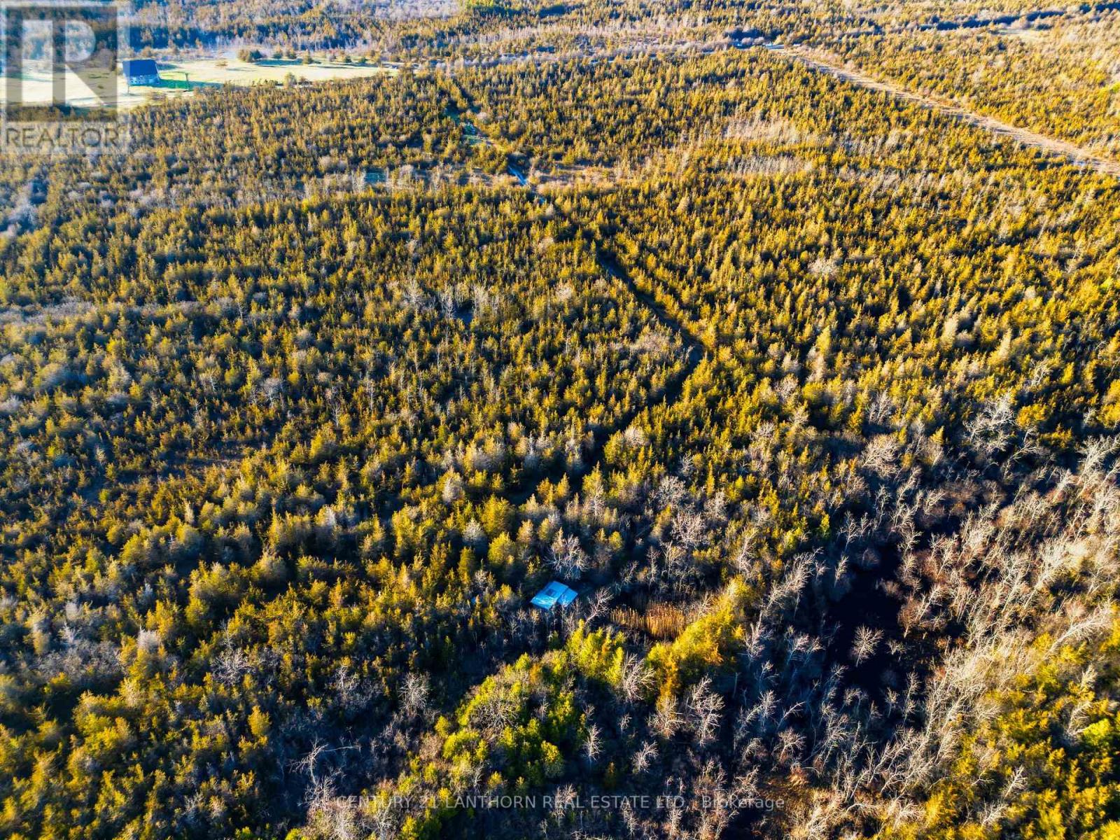 0 Hill Top Road, Prince Edward County (South Marysburg Ward), Ontario  K0K 2P0 - Photo 12 - X13024100