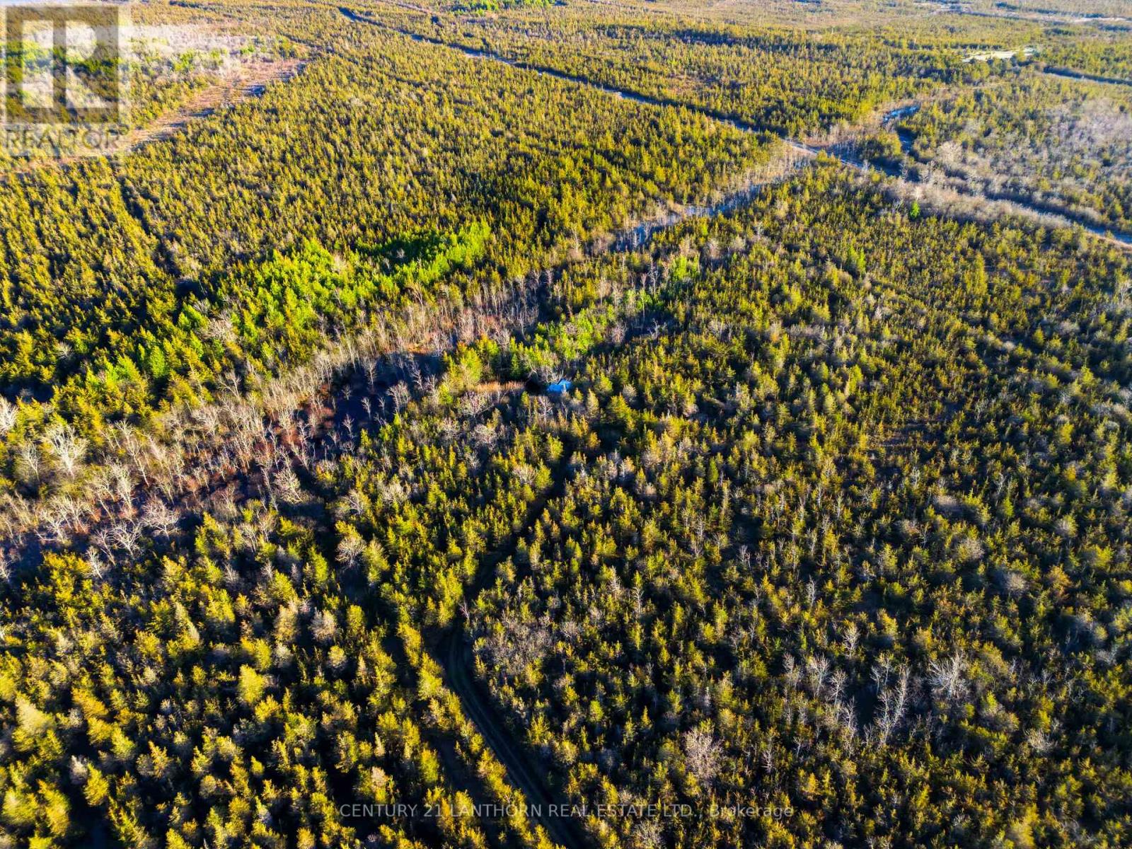 0 Hill Top Road, Prince Edward County (South Marysburg Ward), Ontario  K0K 2P0 - Photo 13 - X13024100