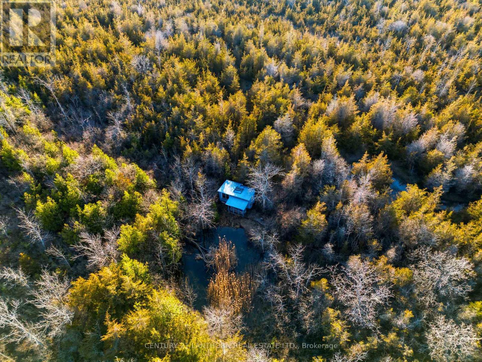 0 Hill Top Road, Prince Edward County (South Marysburg Ward), Ontario  K0K 2P0 - Photo 6 - X13024100