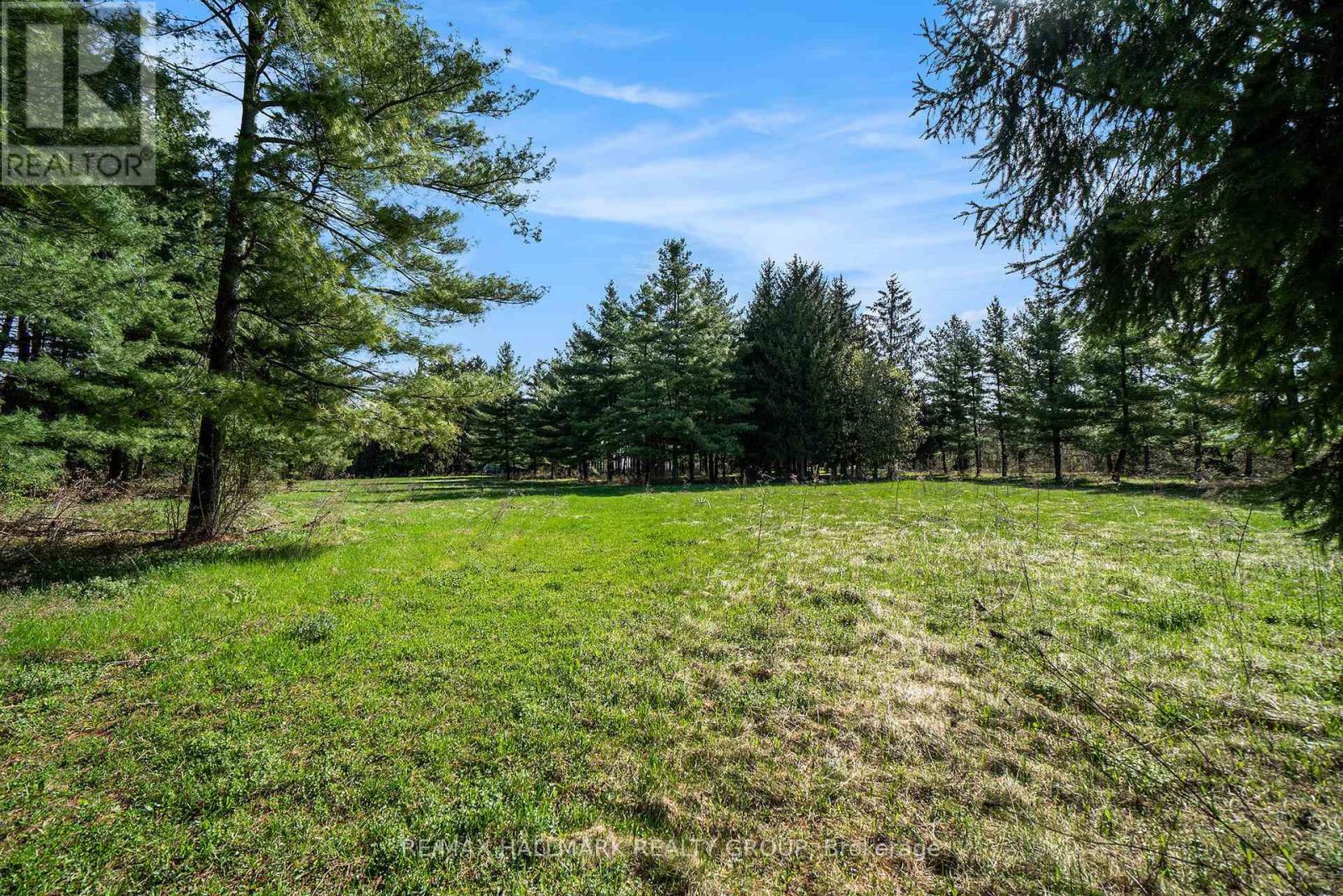 942 Cameron Street, Ottawa, Ontario  K4C 1C6 - Photo 7 - X13024132