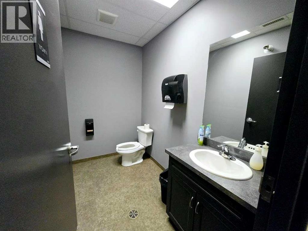 # 9 Spruce Drive, Sedgewick, Alberta  T0B 4C0 - Photo 13 - A2160622