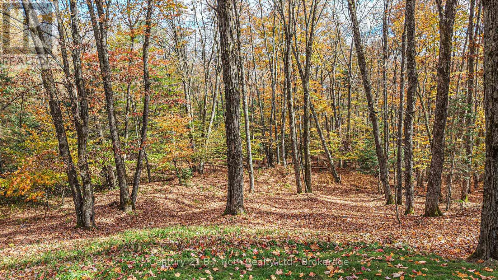 691 South Waseosa Lake Road, Huntsville, Ontario  P1H 2N5 - Photo 47 - X13023940