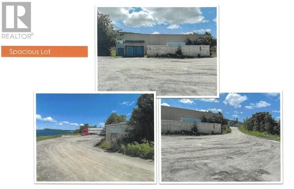 24 Water Street, Corner Brook, Newfoundland & Labrador  A2H 3E3 - Photo 6 - 1296439