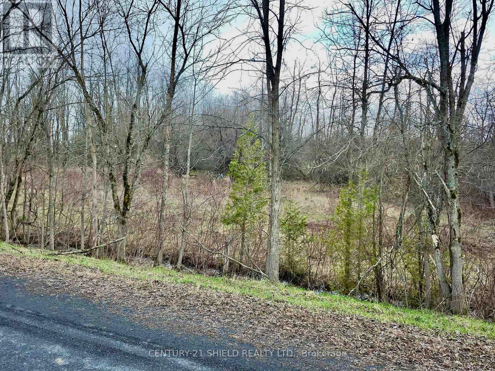 15448 North Lunenburg Road, South Stormont, Ontario  K0C 1R0 - Photo 2 - X13023950