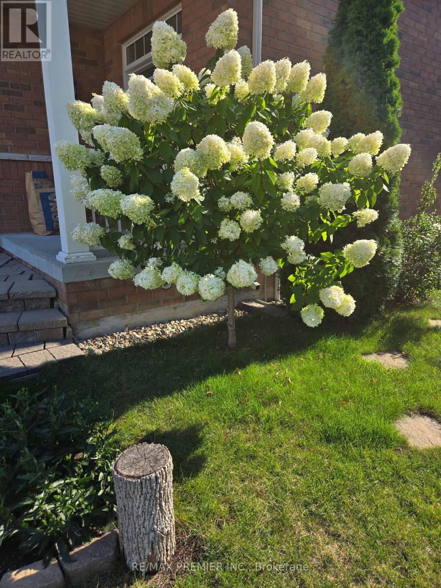 32 Blue Grouse Road, Vaughan, Ontario  L6A 4B9 - Photo 43 - N13019120