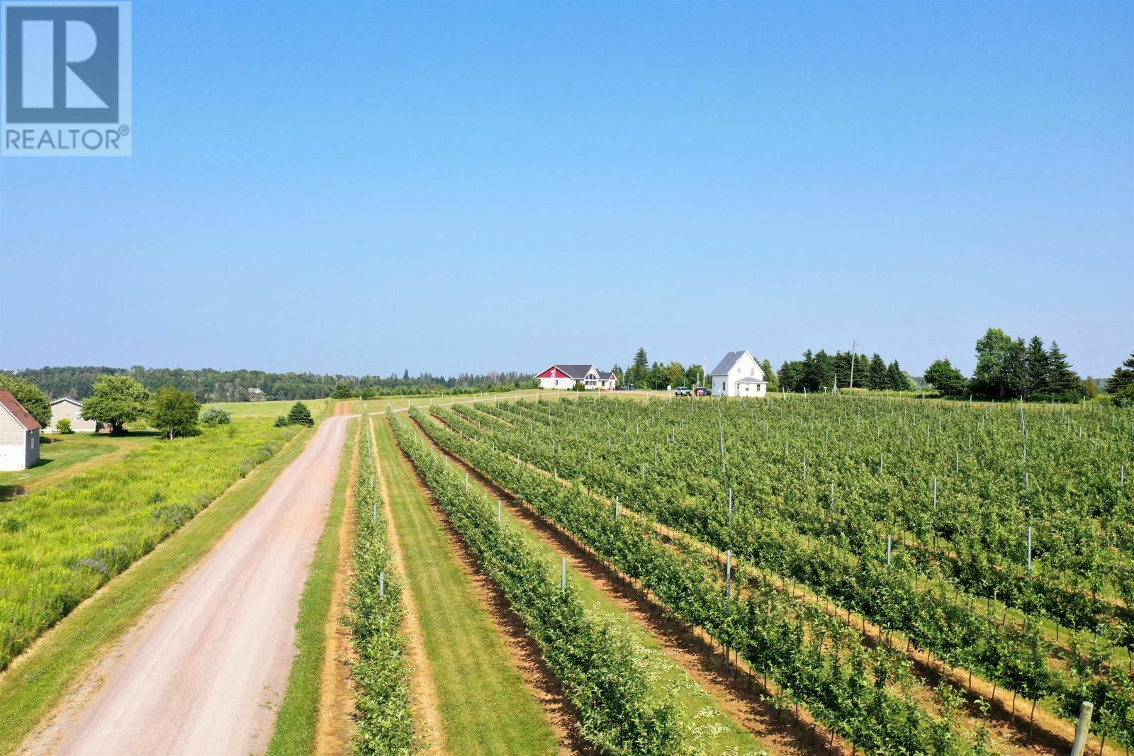 40 Stan Pearson Road, Stanley Bridge, Prince Edward Island  C0B 1M0 - Photo 49 - 202608099