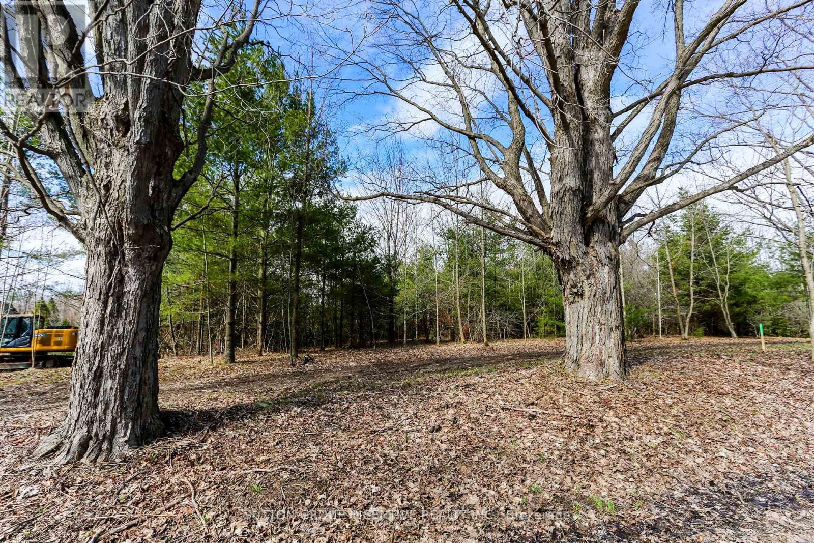 2774 Old Second Road S, Springwater, Ontario  L9X 1P6 - Photo 4 - S13024188