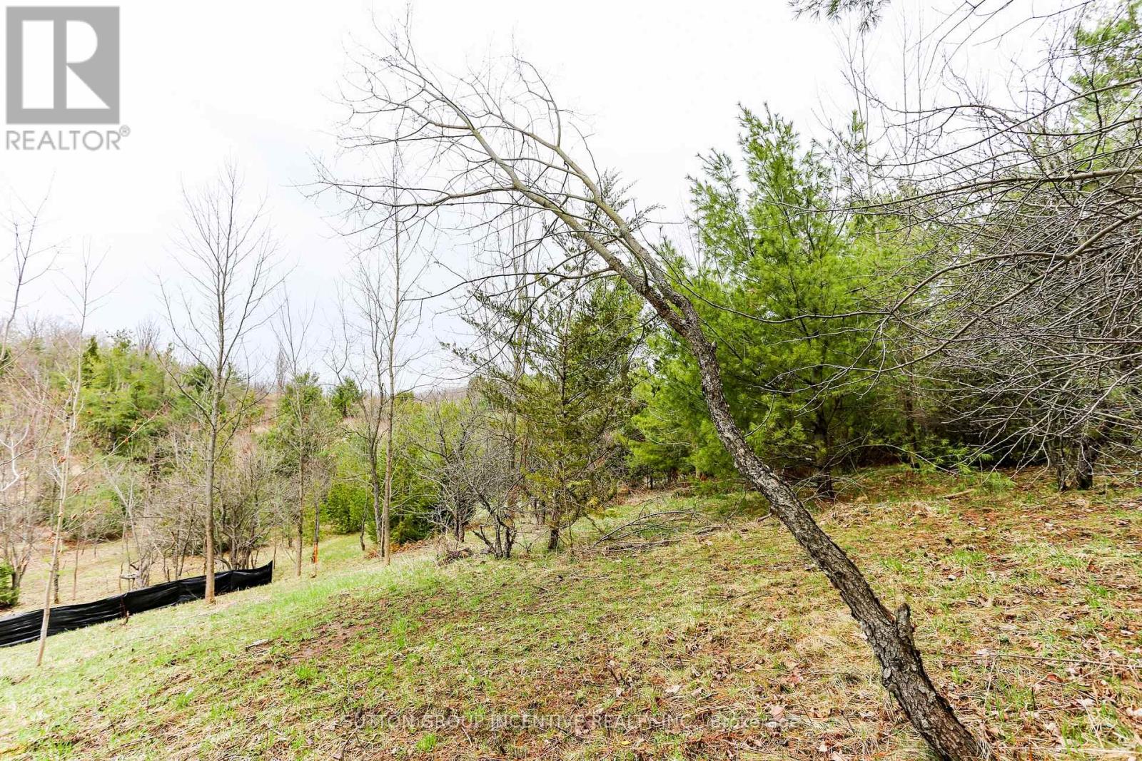 2774 Old Second Road S, Springwater, Ontario  L9X 1P6 - Photo 5 - S13024188