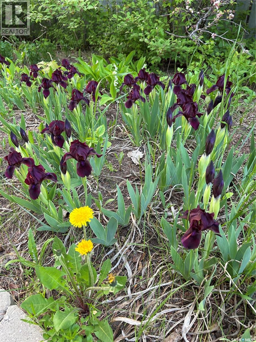 230 Baker Place, Saskatoon, Saskatchewan  S7N 3L1 - Photo 47 - SK033354