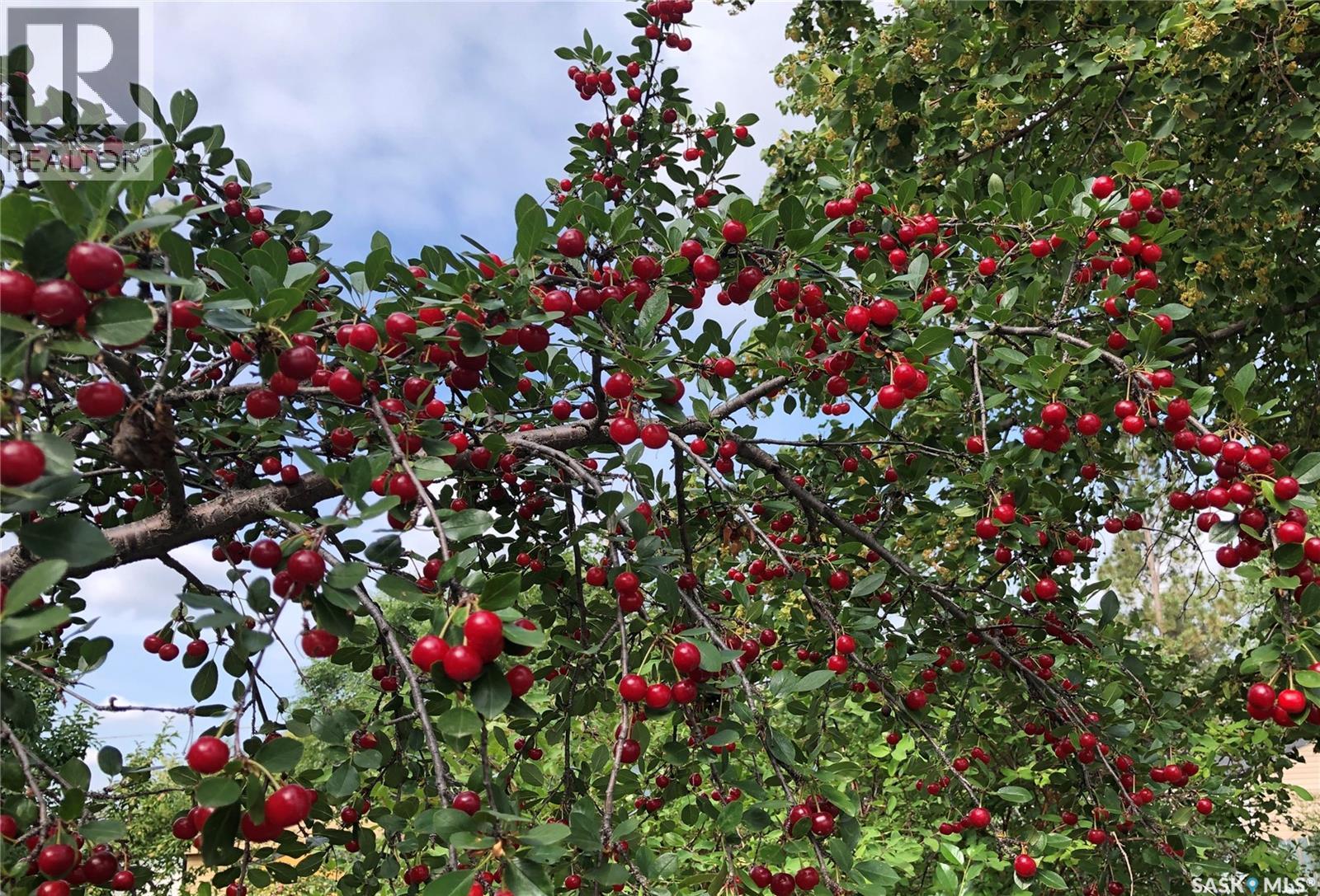 230 Baker Place, Saskatoon, Saskatchewan  S7N 3L1 - Photo 50 - SK033354