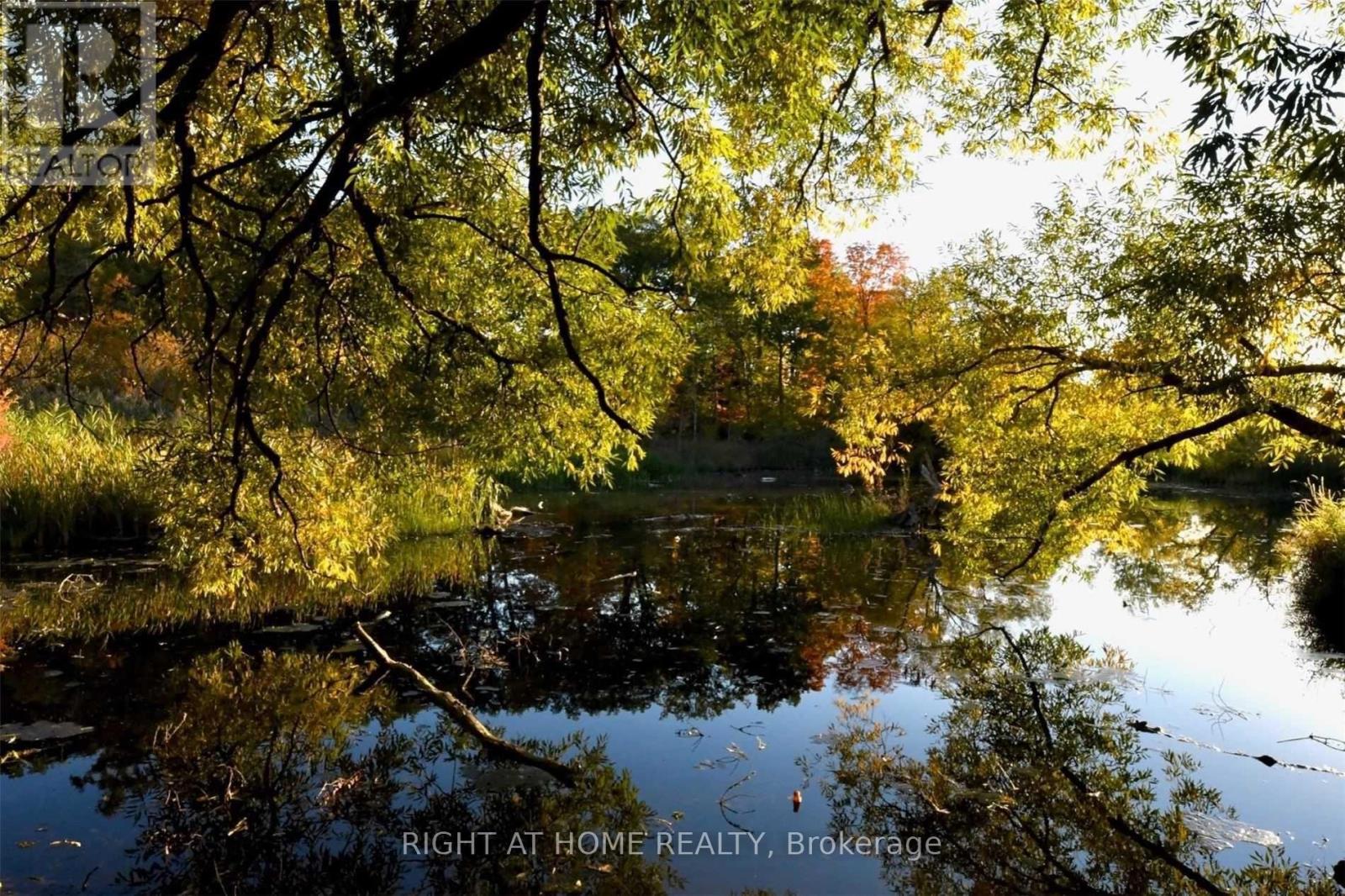 212 - 870 Jane Street, Toronto, Ontario  M6N 4C2 - Photo 23 - W13023916