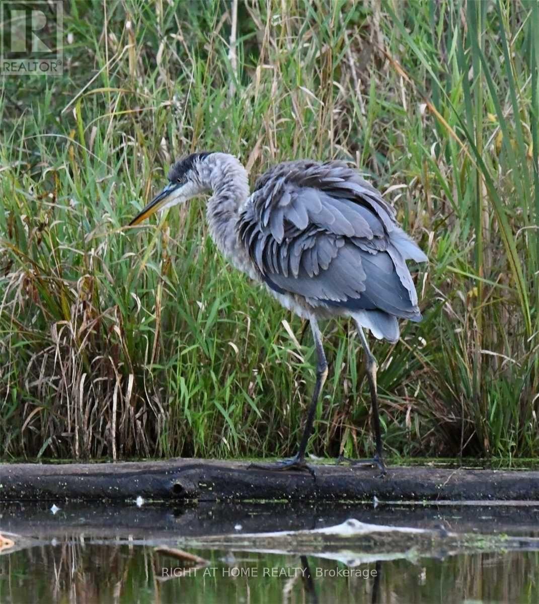 212 - 870 Jane Street, Toronto, Ontario  M6N 4C2 - Photo 24 - W13023916