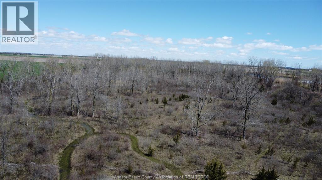 3703 Goodreau Line, Coatsworth, Ontario  N0P 1H0 - Photo 5 - 26008692