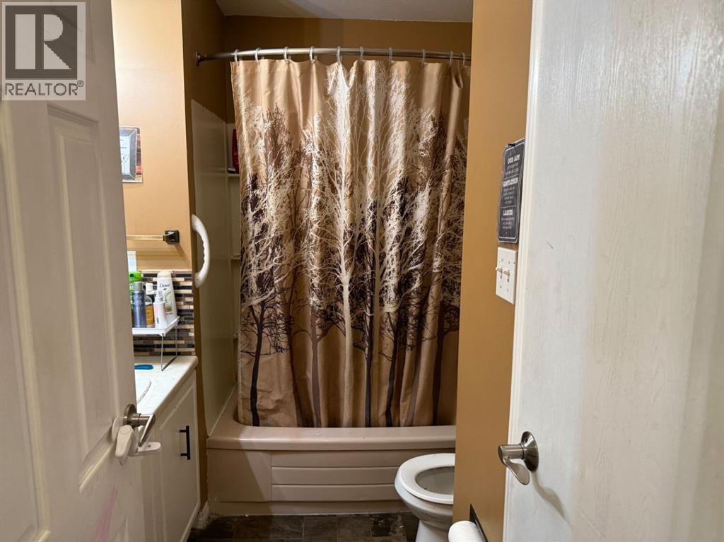 3006 52 Avenue, Lloydminster, Alberta  T9V 1P5 - Photo 11 - A2288759