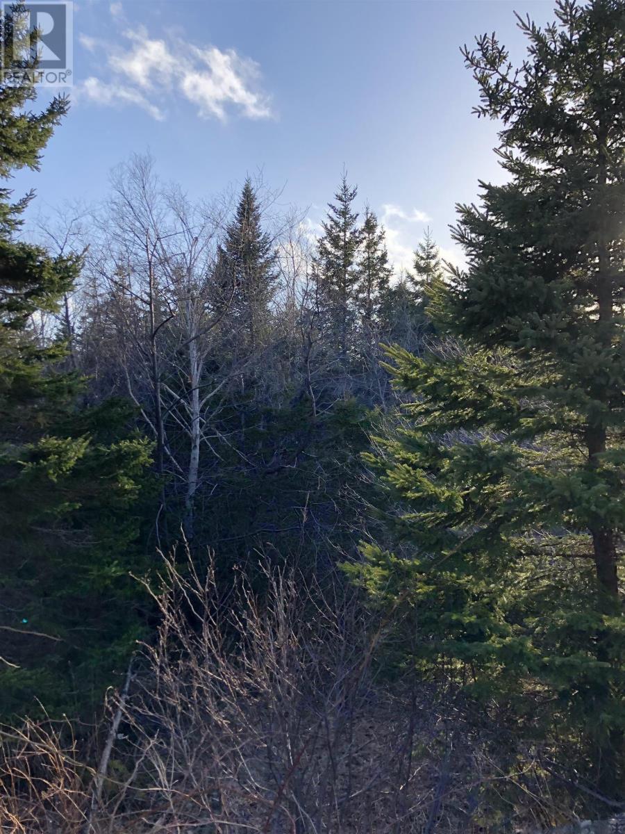 Lots 14 & 15 Highview & Clough Ave, Port Hastings, Nova Scotia  B9A 1K8 - Photo 5 - 202510076