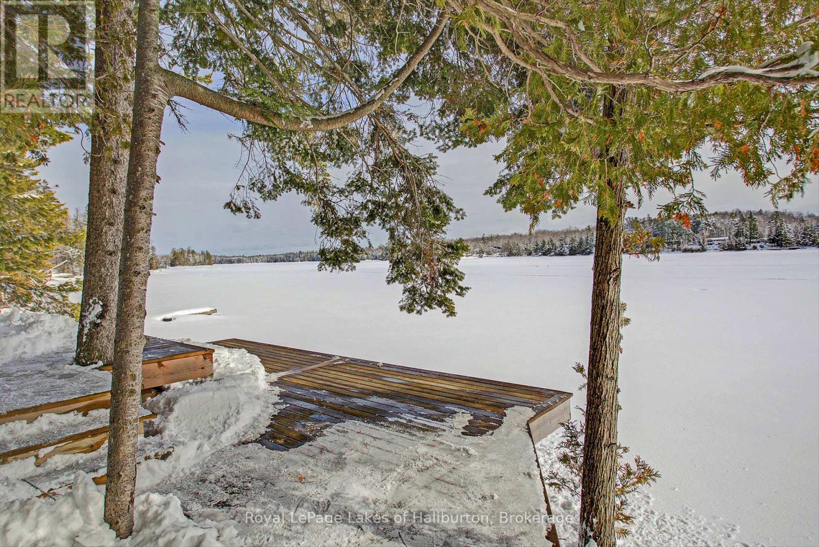 54 Clearview Drive, Trent Lakes, Ontario  K0M 2A0 - Photo 26 - X12840692