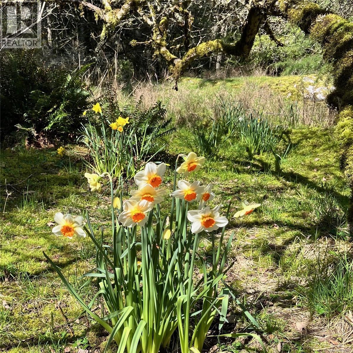 99 Garner Rd, Salt Spring, British Columbia  V8K 2B1 - Photo 49 - 1028631