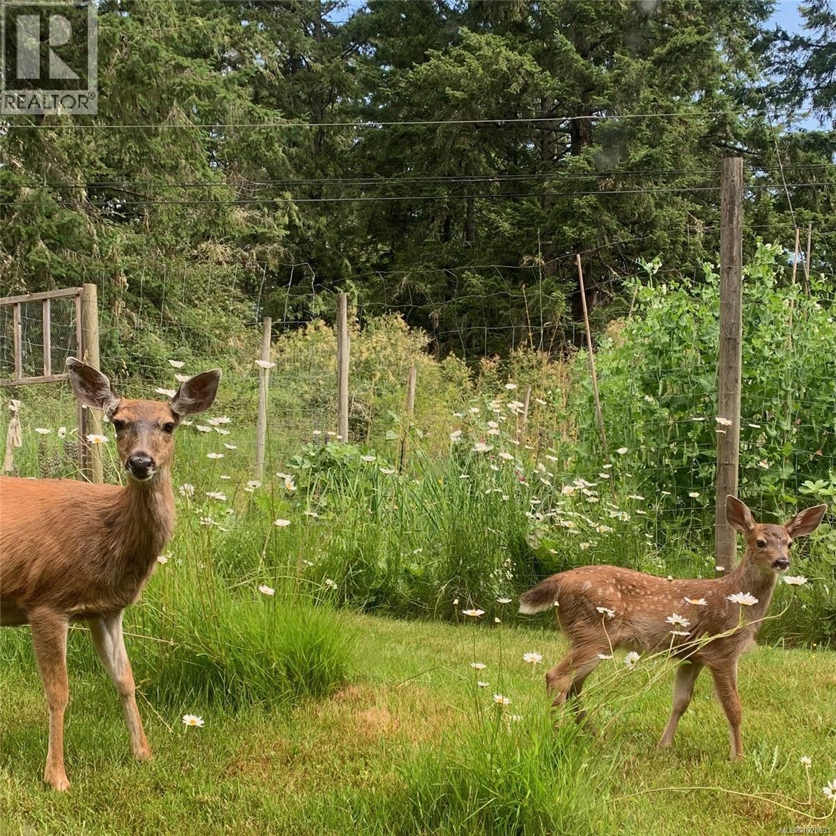 99 Garner Rd, Salt Spring, British Columbia  V8K 2B1 - Photo 52 - 1028631