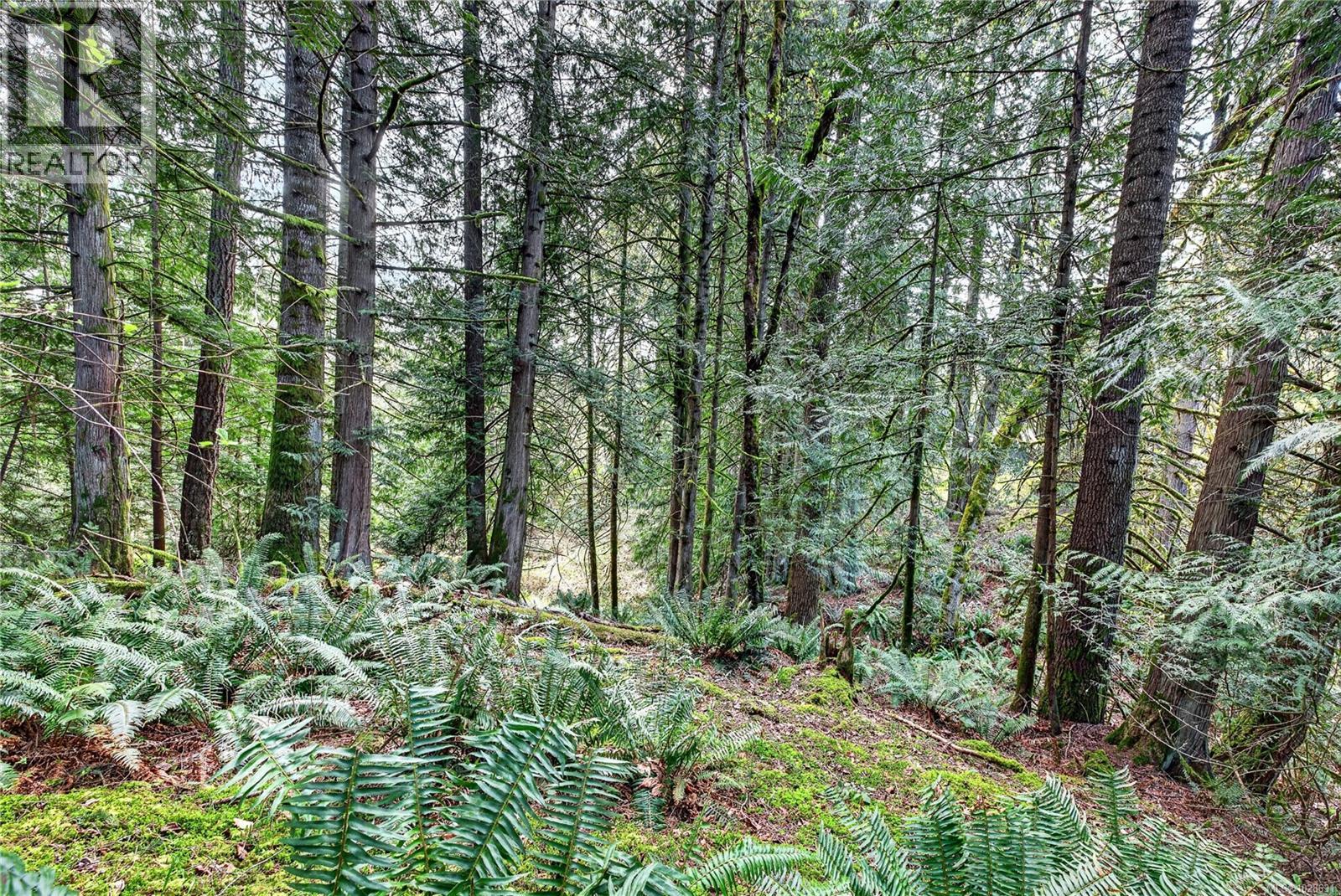 99 Garner Rd, Salt Spring, British Columbia  V8K 2B1 - Photo 62 - 1028631