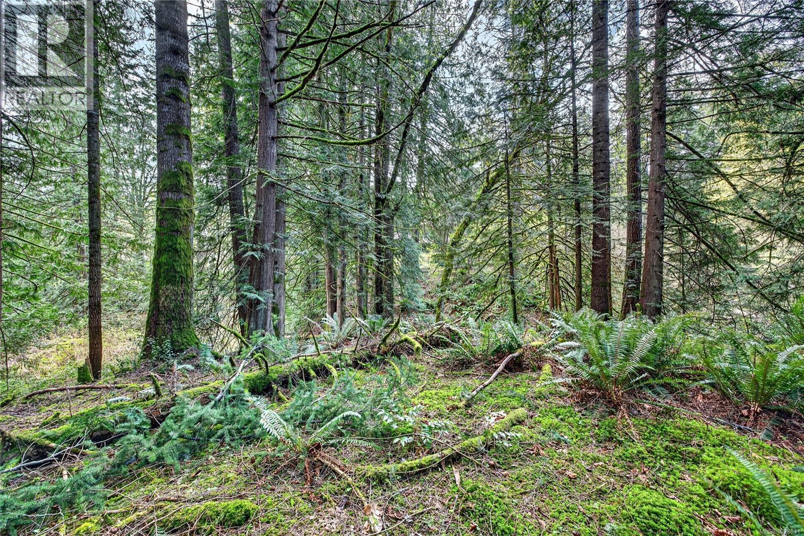 99 Garner Rd, Salt Spring, British Columbia  V8K 2B1 - Photo 63 - 1028631