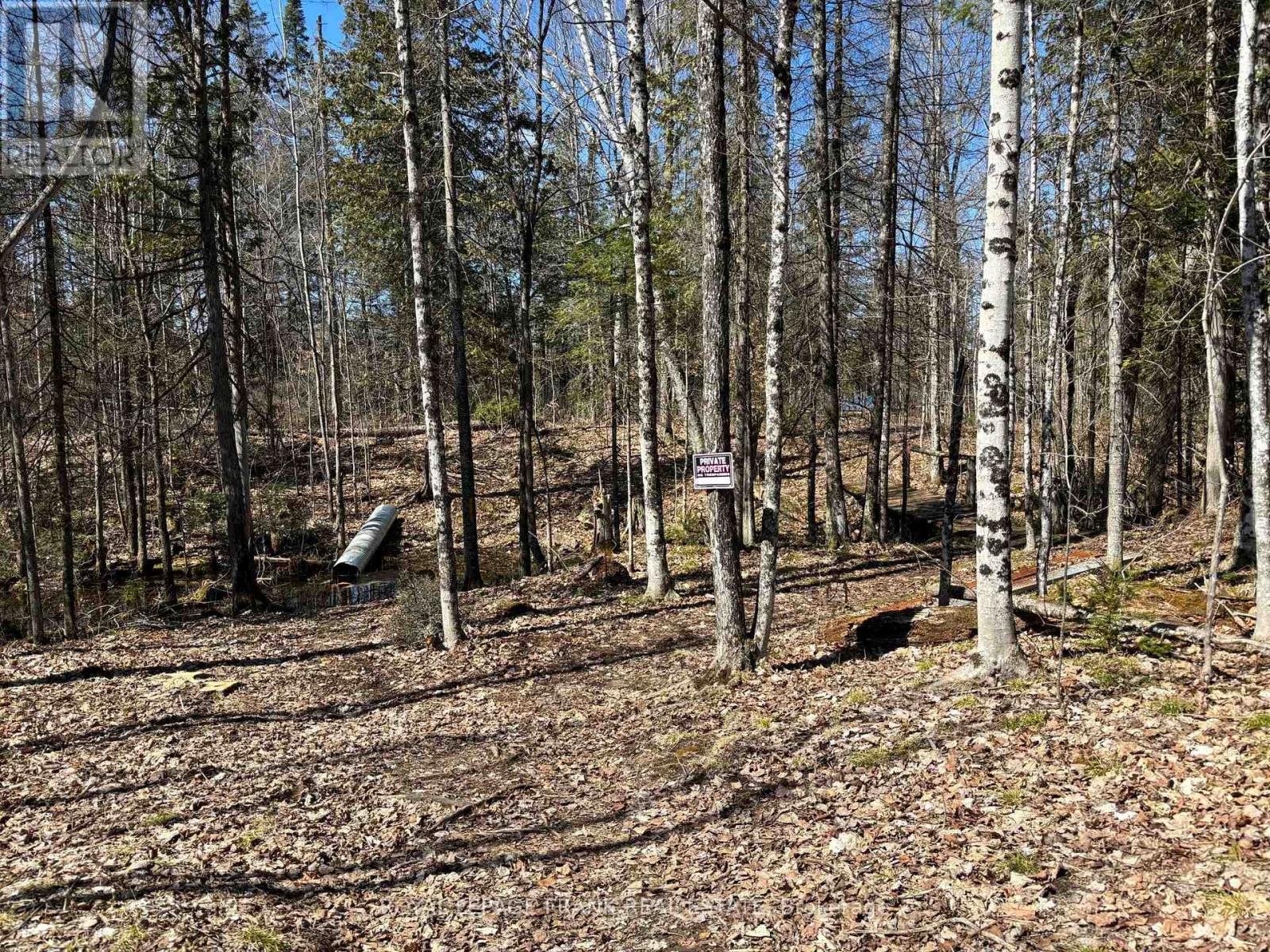 185 Julian Lake Road, North Kawartha, Ontario  K0L 3E0 - Photo 16 - X13018774