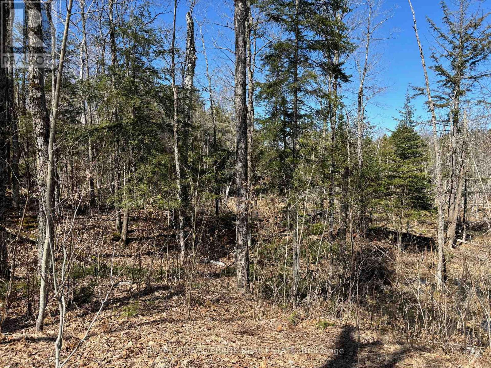 185 Julian Lake Road, North Kawartha, Ontario  K0L 3E0 - Photo 14 - X13018774