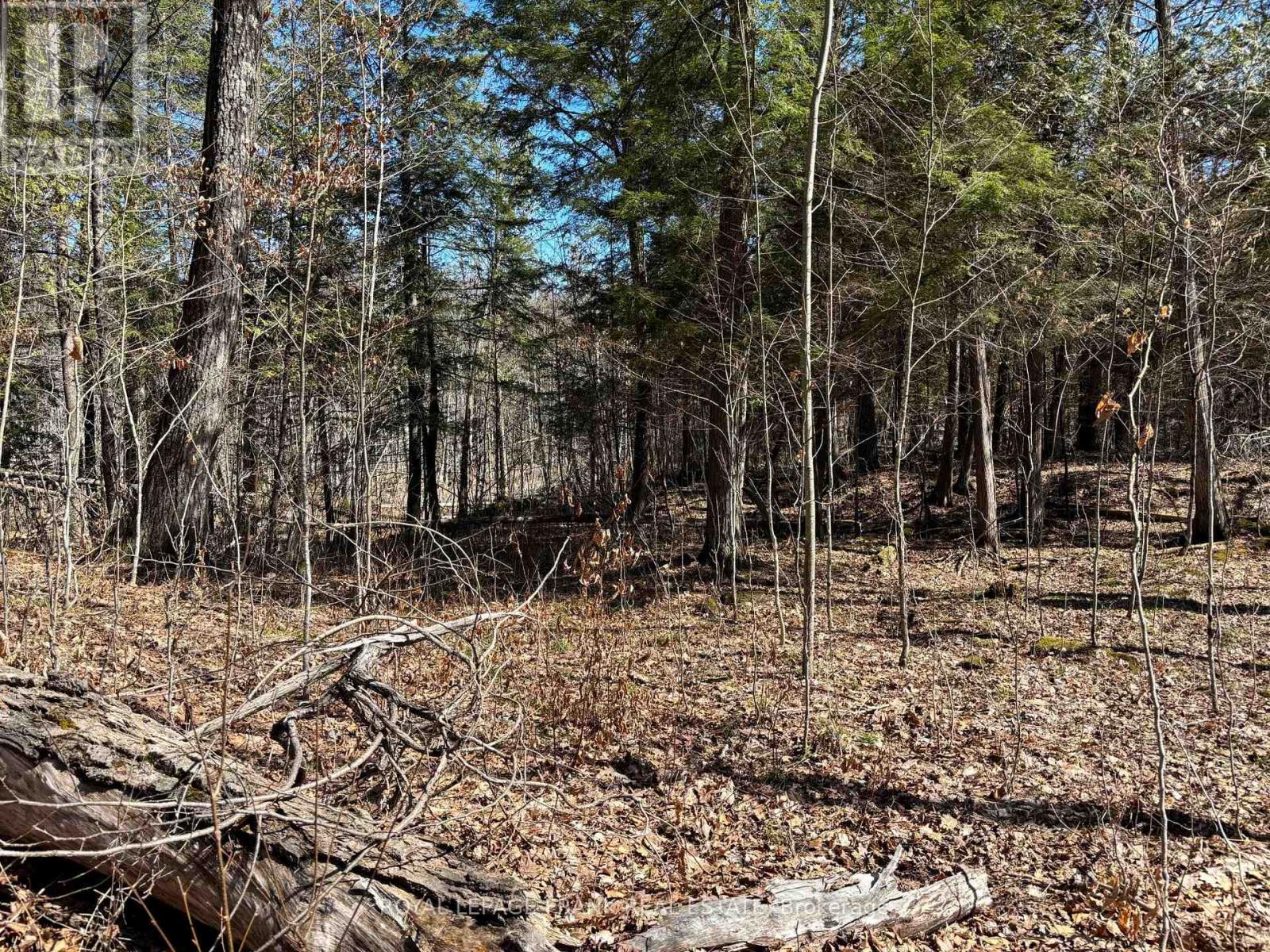 185 Julian Lake Road, North Kawartha, Ontario  K0L 3E0 - Photo 15 - X13018774