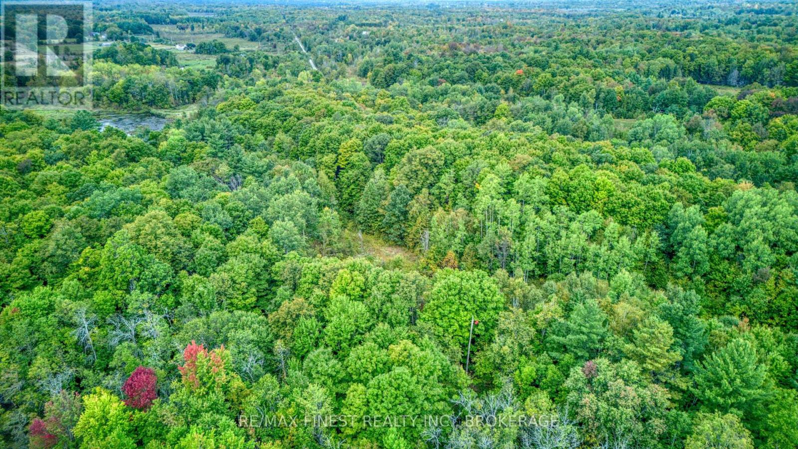 0 Armstrong Line, Tay Valley, Ontario  K0H 2B0 - Photo 20 - X13024798