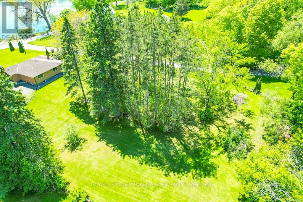 556 Rosebush Road, Quinte West, Ontario  K0K 2C0 - Photo 48 - X13024612