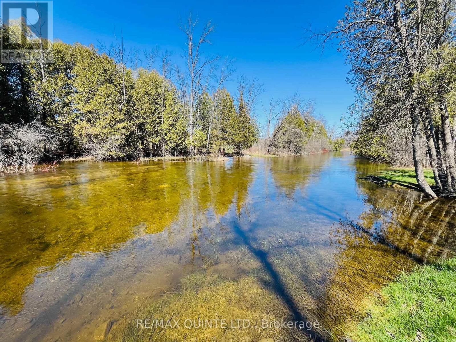 847 Thrasher Road, Belleville, Ontario  K0K 2V0 - Photo 38 - X13024782