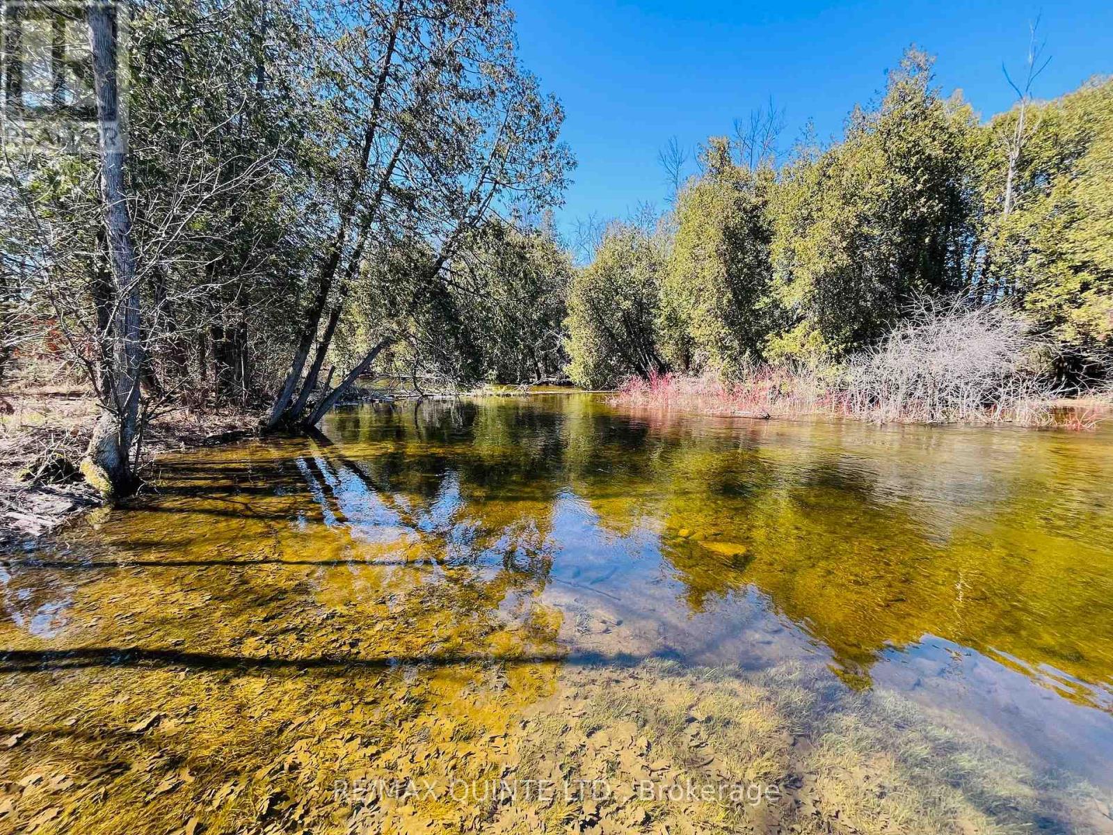 847 Thrasher Road, Belleville, Ontario  K0K 2V0 - Photo 39 - X13024782