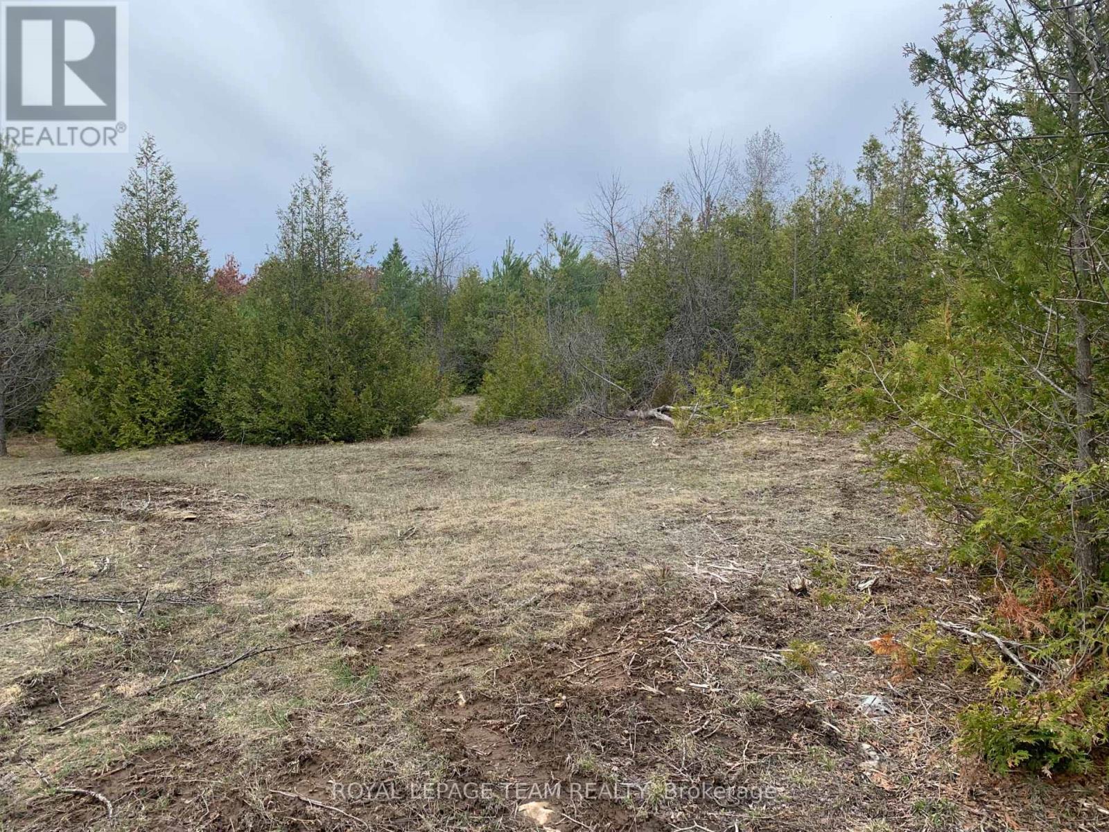 1204 Pioneer Road, Merrickville-Wolford, Ontario  K0G 1N0 - Photo 5 - X13024548