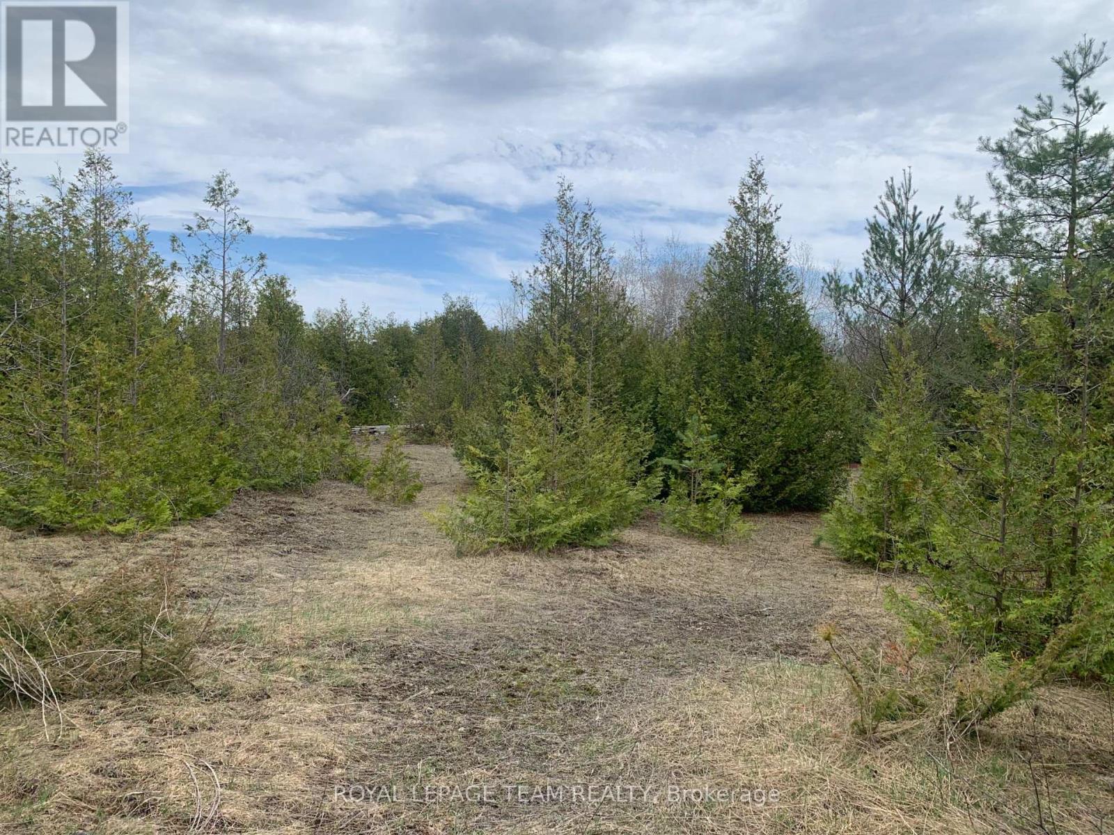 1204 Pioneer Road, Merrickville-Wolford, Ontario  K0G 1N0 - Photo 6 - X13024548