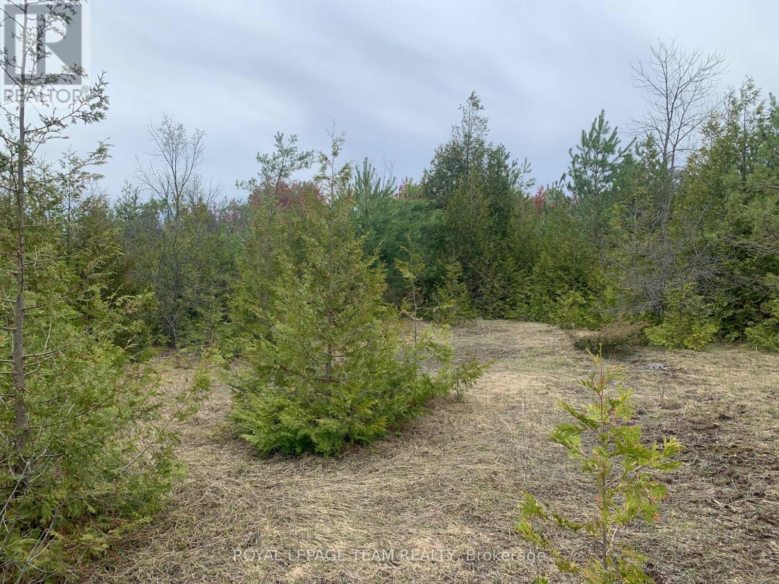 1204 Pioneer Road, Merrickville-Wolford, Ontario  K0G 1N0 - Photo 7 - X13024548