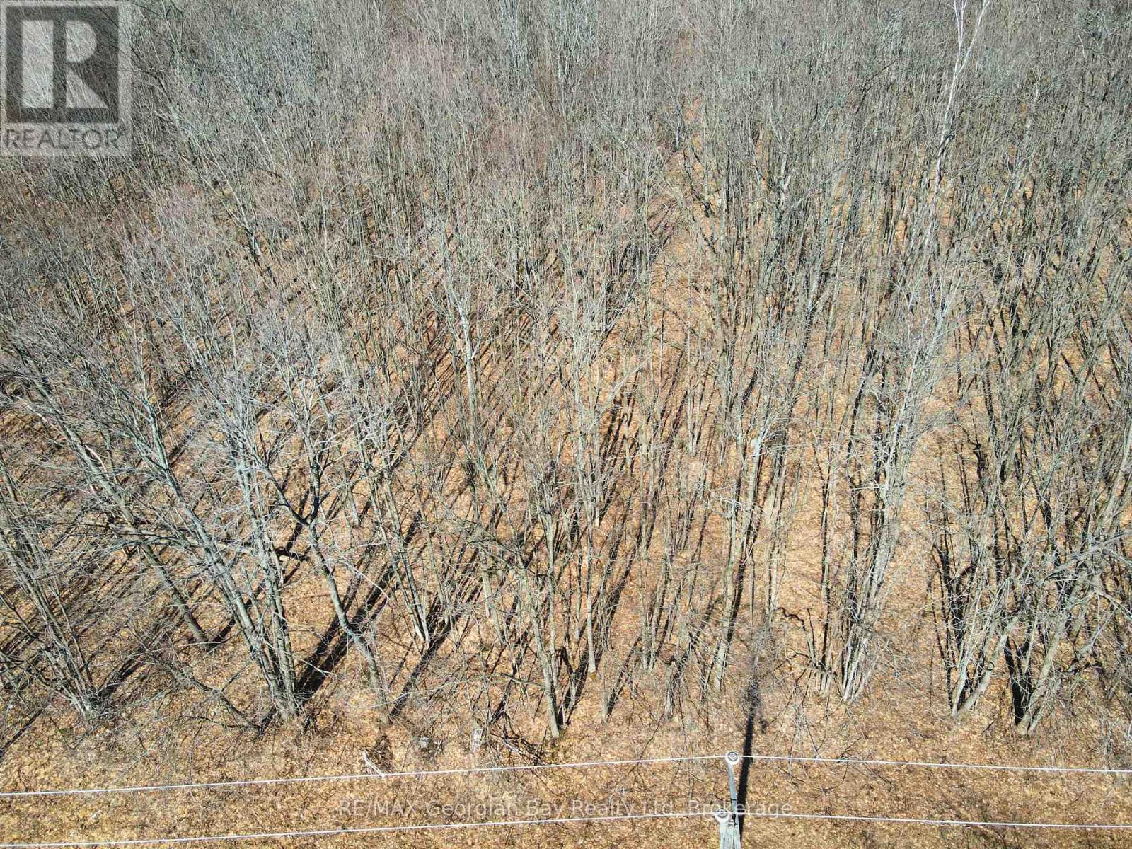 Lot 33 Macavalley Road, Tiny, Ontario   - Photo 2 - S13024542