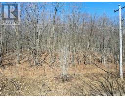 LOT 33 MACAVALLEY ROAD, tiny, Ontario