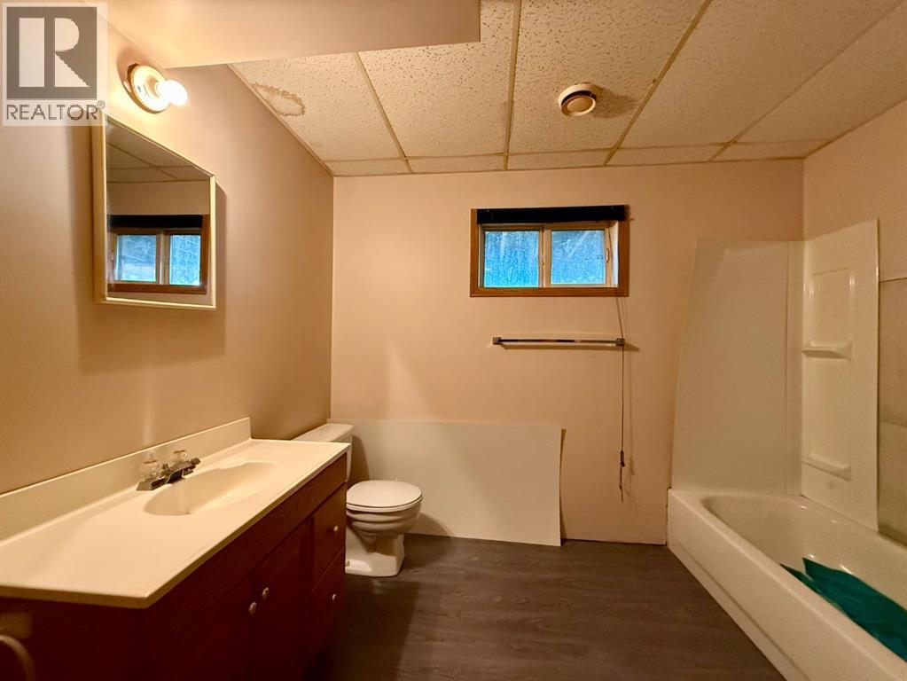 5002 49 Avenue, Botha, Alberta  T0C 0N0 - Photo 17 - A2260308