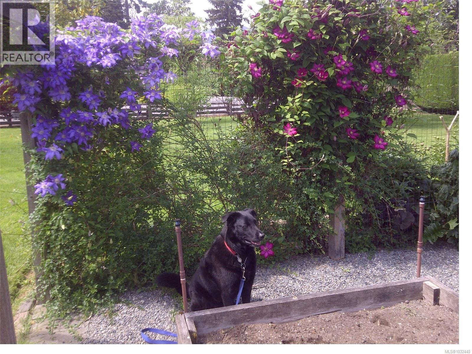 2547 Trillium Terr, Duncan, British Columbia  V9L 5J7 - Photo 37 - 1032445