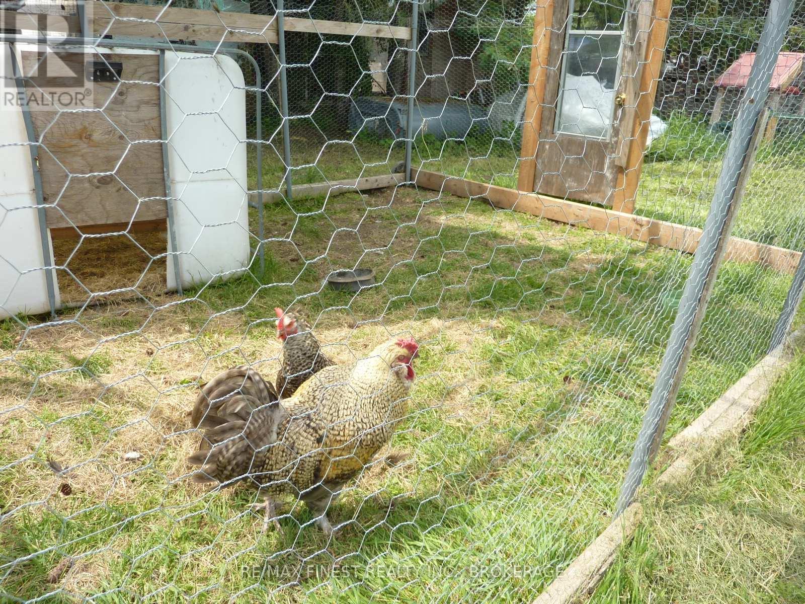 2935 County Road 9, Greater Napanee, Ontario  K7R 3K8 - Photo 35 - X12656270