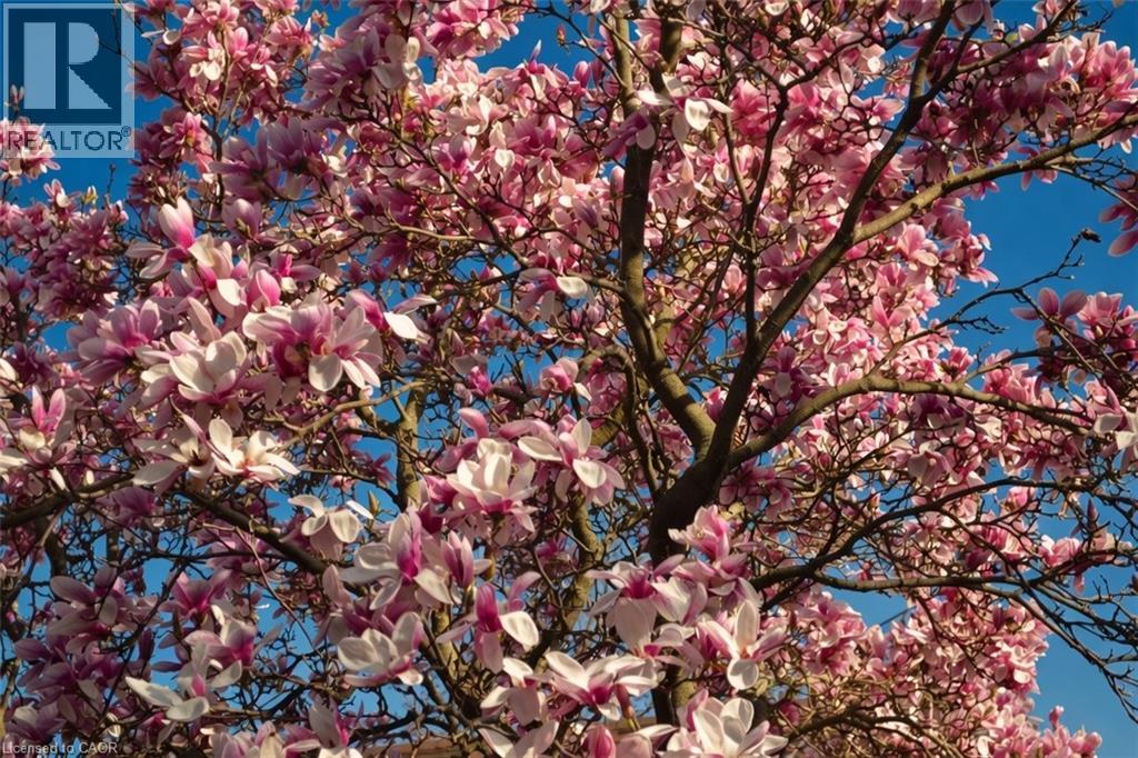 7 Central Park Avenue, Dundas, Ontario  L9H 2M5 - Photo 50 - 40822532