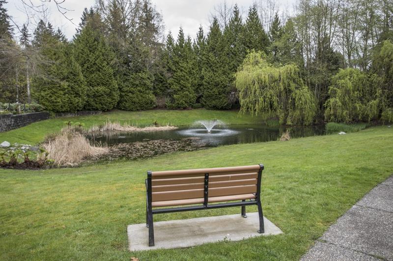 7 3387 King George Boulevard, Surrey, British Columbia  V4P 1B7 - Photo 39 - R3111815