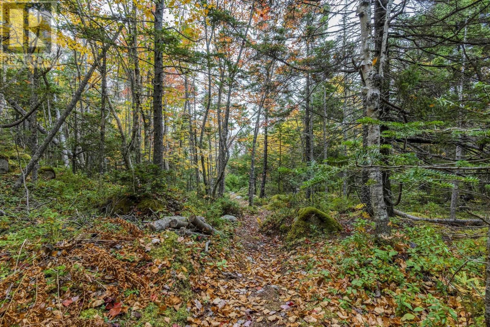 Lot Scott's Point Road, East Dover, Nova Scotia  B3Z 3W2 - Photo 10 - 202607461