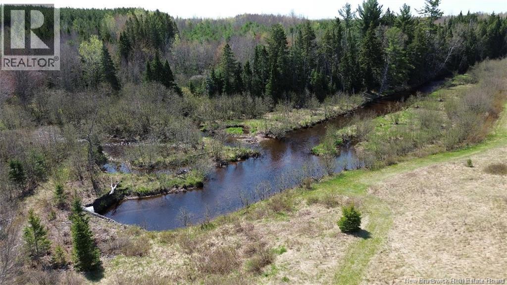Na Route 10, Salmon Creek, New Brunswick  E4A 1E4 - Photo 1 - NB137646